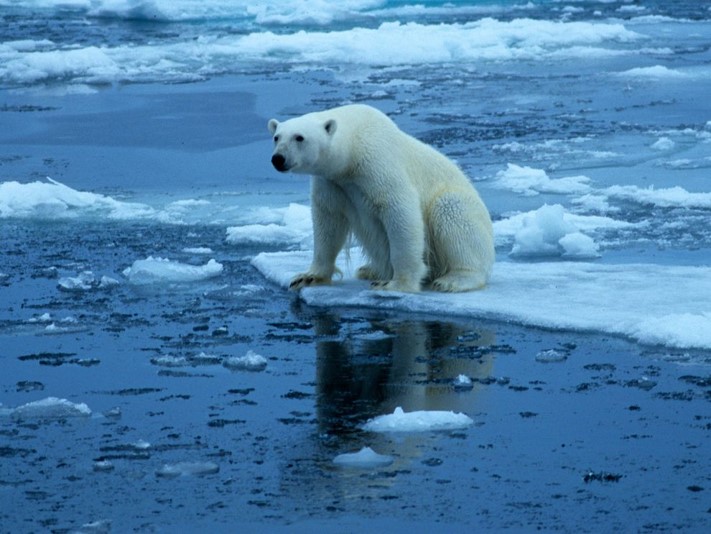 Policy Implication of Health Impacts of Climate Change in Hong Kong – What’s Next?