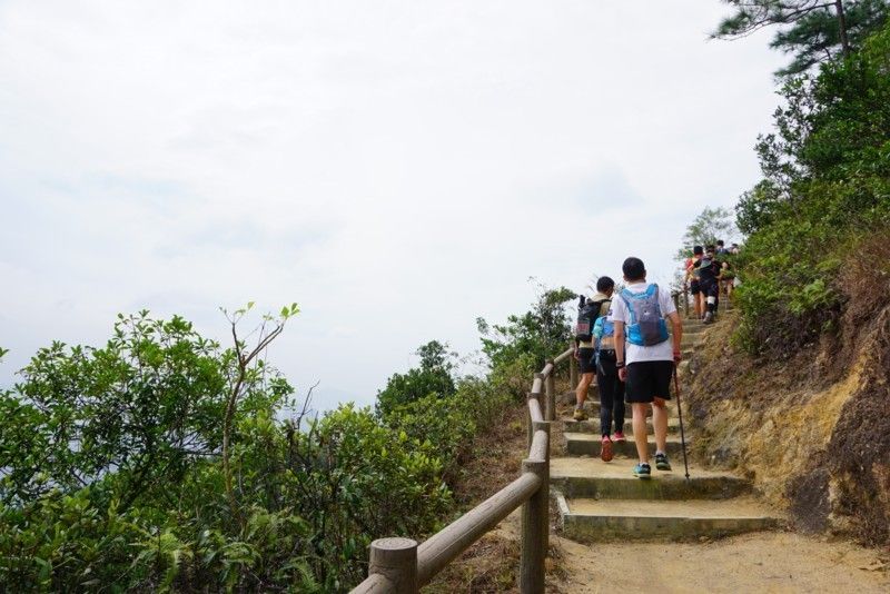 三五成群行山中