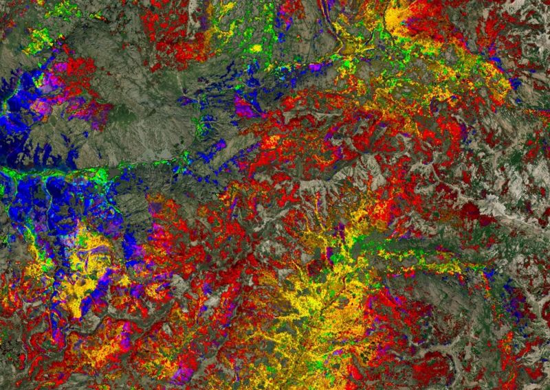 以衛星數據建立的大型森林地圖