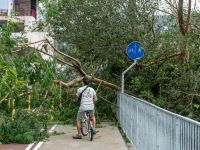 A man on a bike was blocked by fallen trees