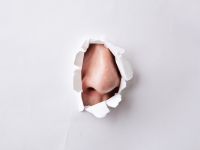 防災救援新科技: 嗅出生天 human nose