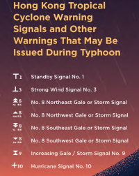 Typhoon Leaflet 2021